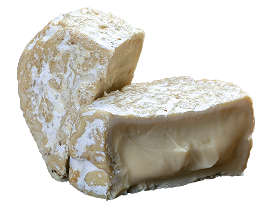 queso brie