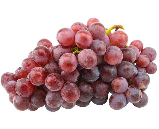 vino de uvas